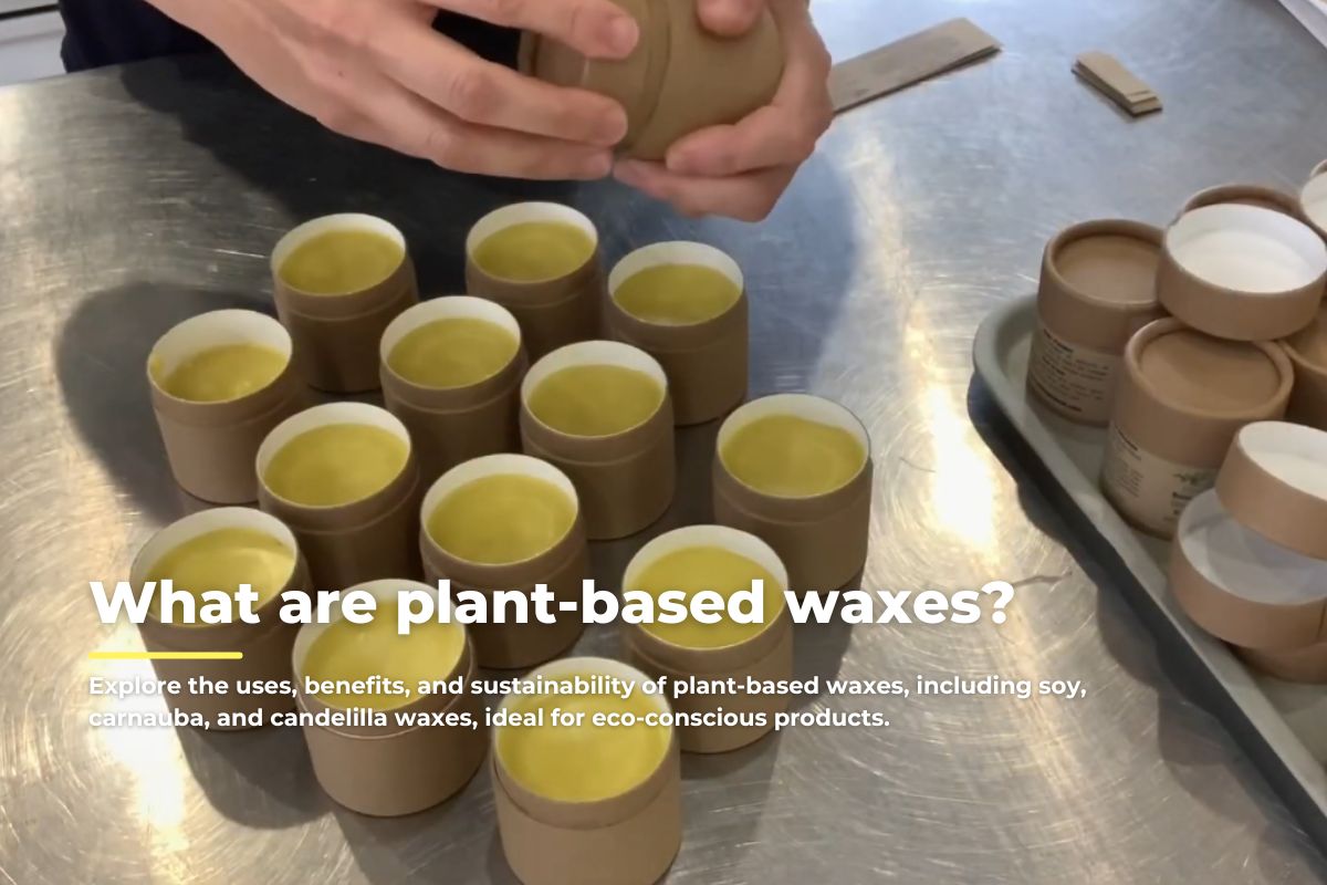 plant-based waxes